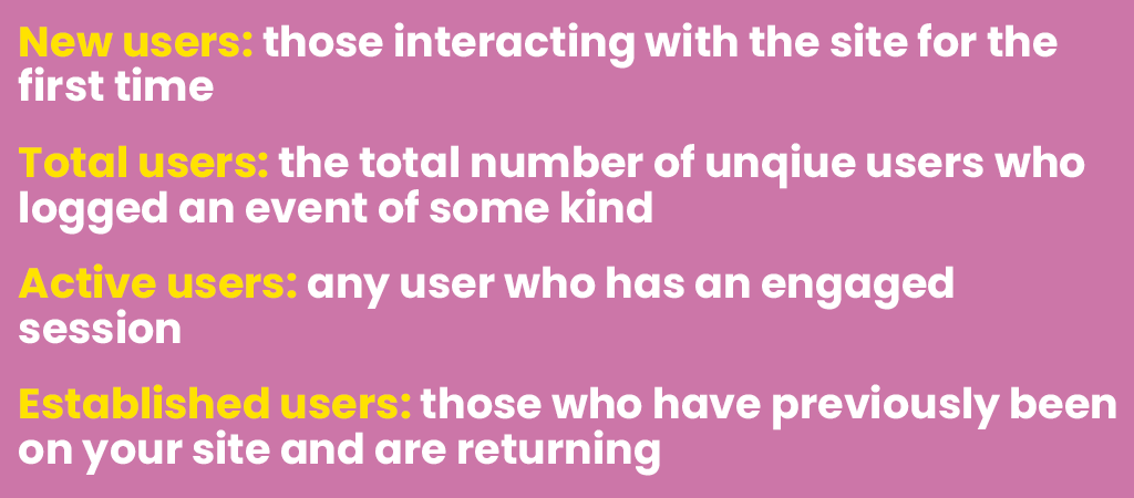 Google Analytics types of users