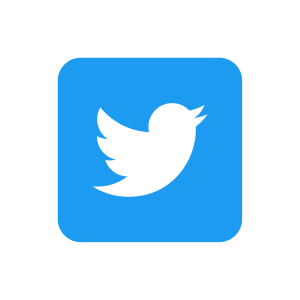 Twitter Icon
