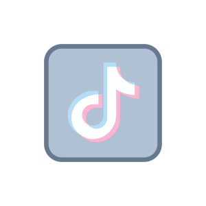 TikTok icon